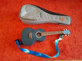 Ukulele blau mit Tasche & Gurt guter Zustand für Einsteiger!