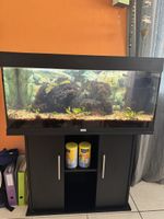 180L Juwel Aquarium mit Zubehör inkl. Fischfutterautomat