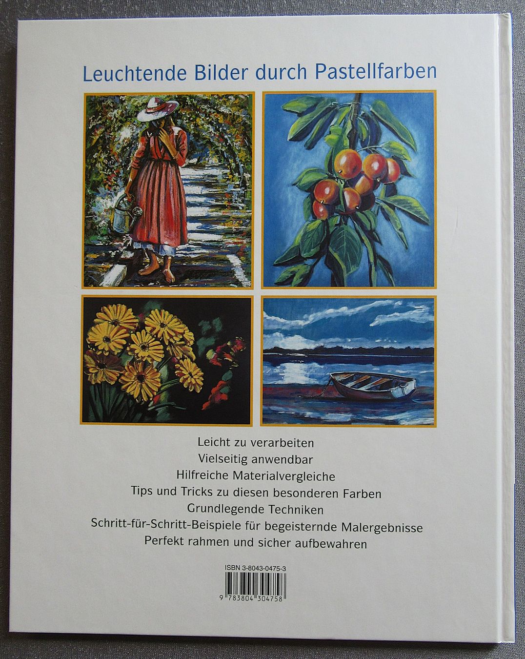 Bücher: Pastellmalerei für Einsteiger - Material • Techniken etc. – Gebraucht aus Auenstein von Padabimbim 1