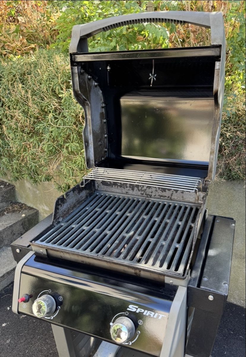 Griglie: weber spirit e-210 – Usato da Büsserach venduto da Brranko 1