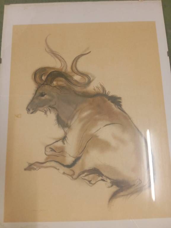 Grafica & Litografie: Meyer Gasters, Tierbild, signiert – Usato da Basel venduto da Petergunn