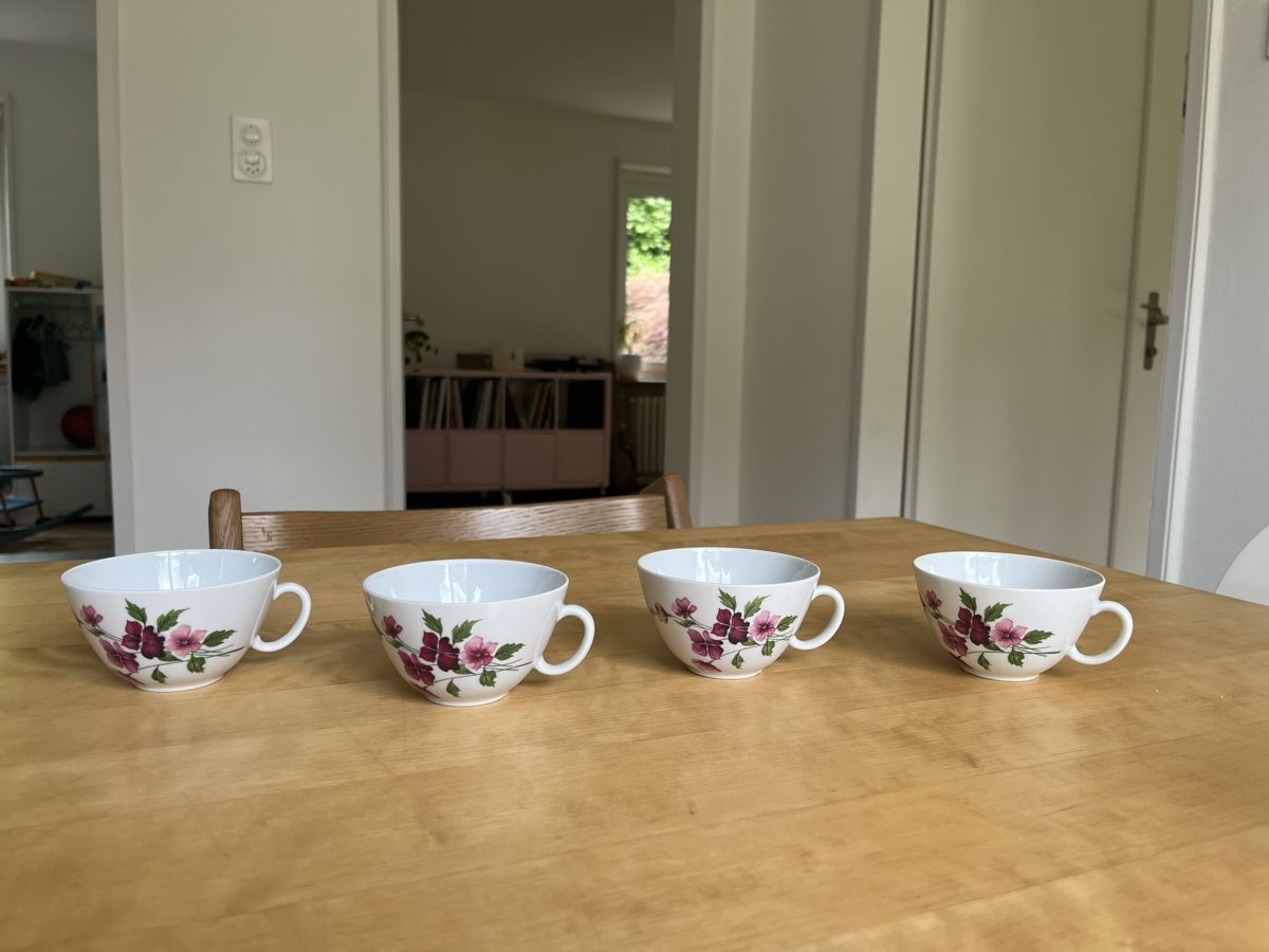 Set di piatti: Vintage Langenthal Tee-Set – Usato da Basel venduto da chzoller 3