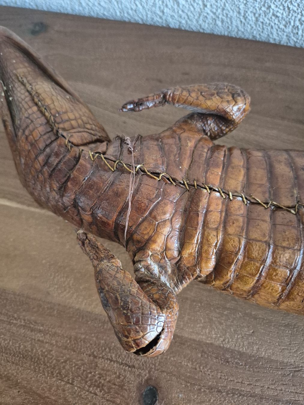 Il mondo degli animali: Antikes Ausgestopftes Krokodil 64cm – Usato da Zürich venduto da Dalema13 8