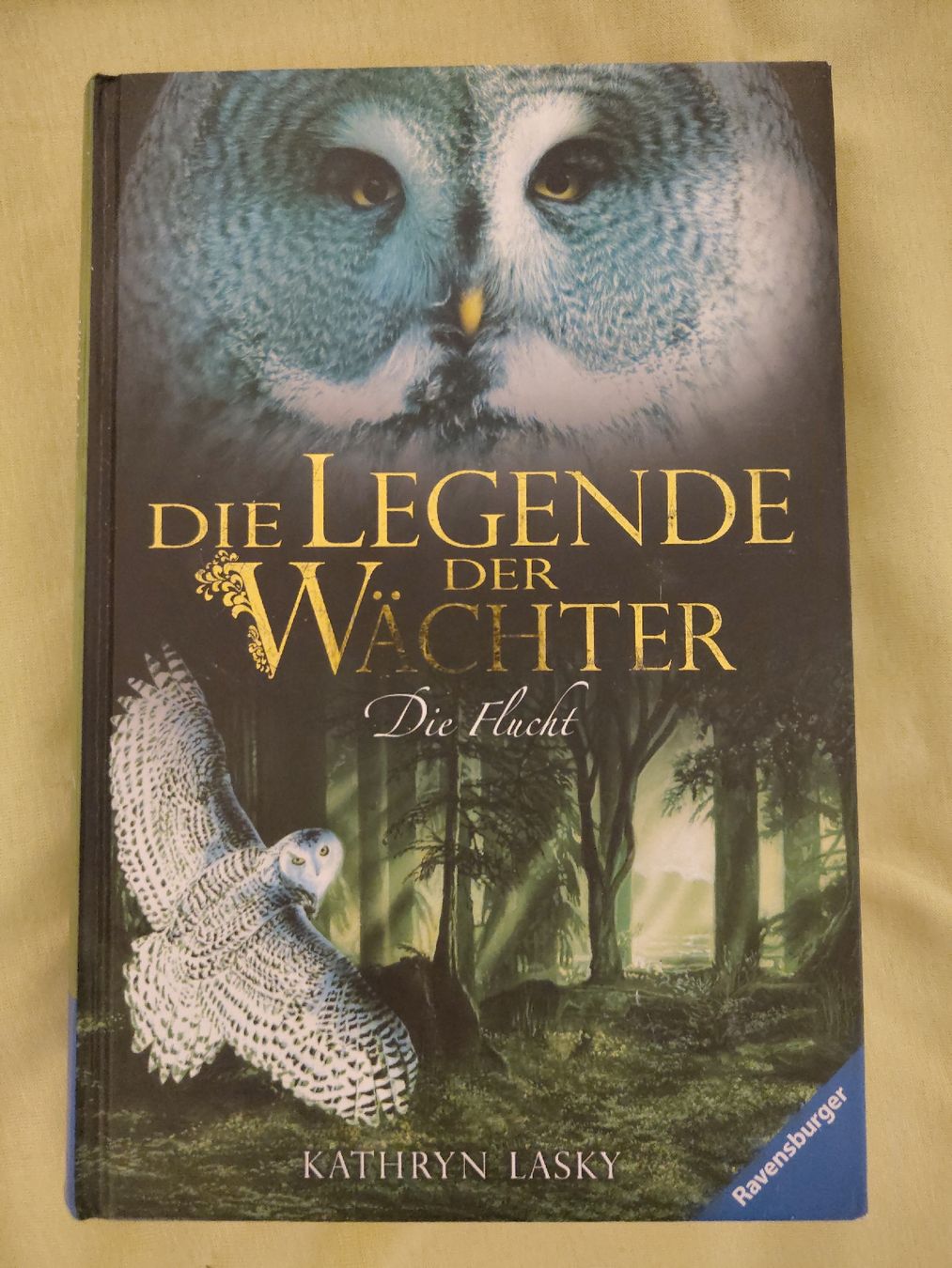 Livres: Die Legende der Wächter Bänder 7-15 – D'occasion à Burgdorf par allyyy 2