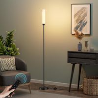 LED Stehlampe 165cm dimmbar Fernbedienung Design Leucht