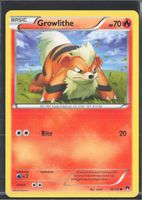 POKÉMON / Growlithe / BREAKpoint 🇺🇸