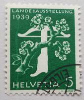 228Z.2.02 Senkrechte Schliere linker Rand