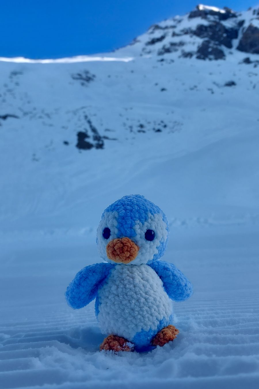 Alle Dekorationen: Gehäkelter Pinguin  – Neu und originalverpackt aus Meiringen von Flauschfarm 1