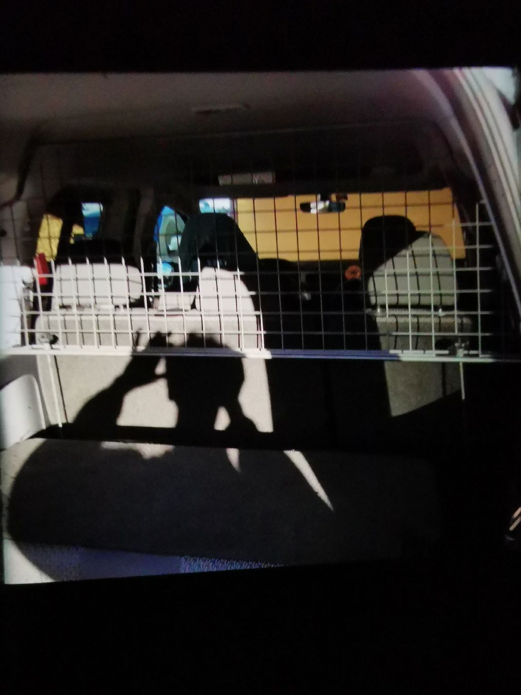 Cages, transport & sécurité: Hundegitter/Trenngitter – D'occasion à Oschwand par Ueli26 2