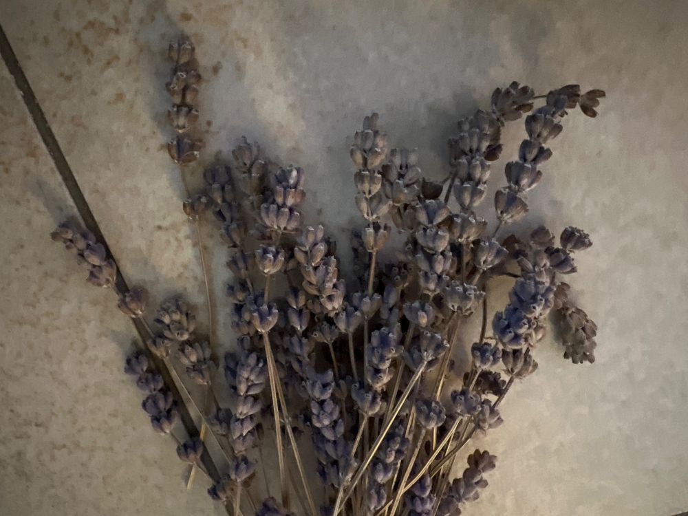 20x Lavendelsäckchen Gegen Motten - Natürlicher Duft Für Schrank & Wohnung