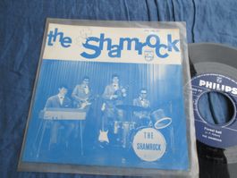 The Shamrock : Rythm And City