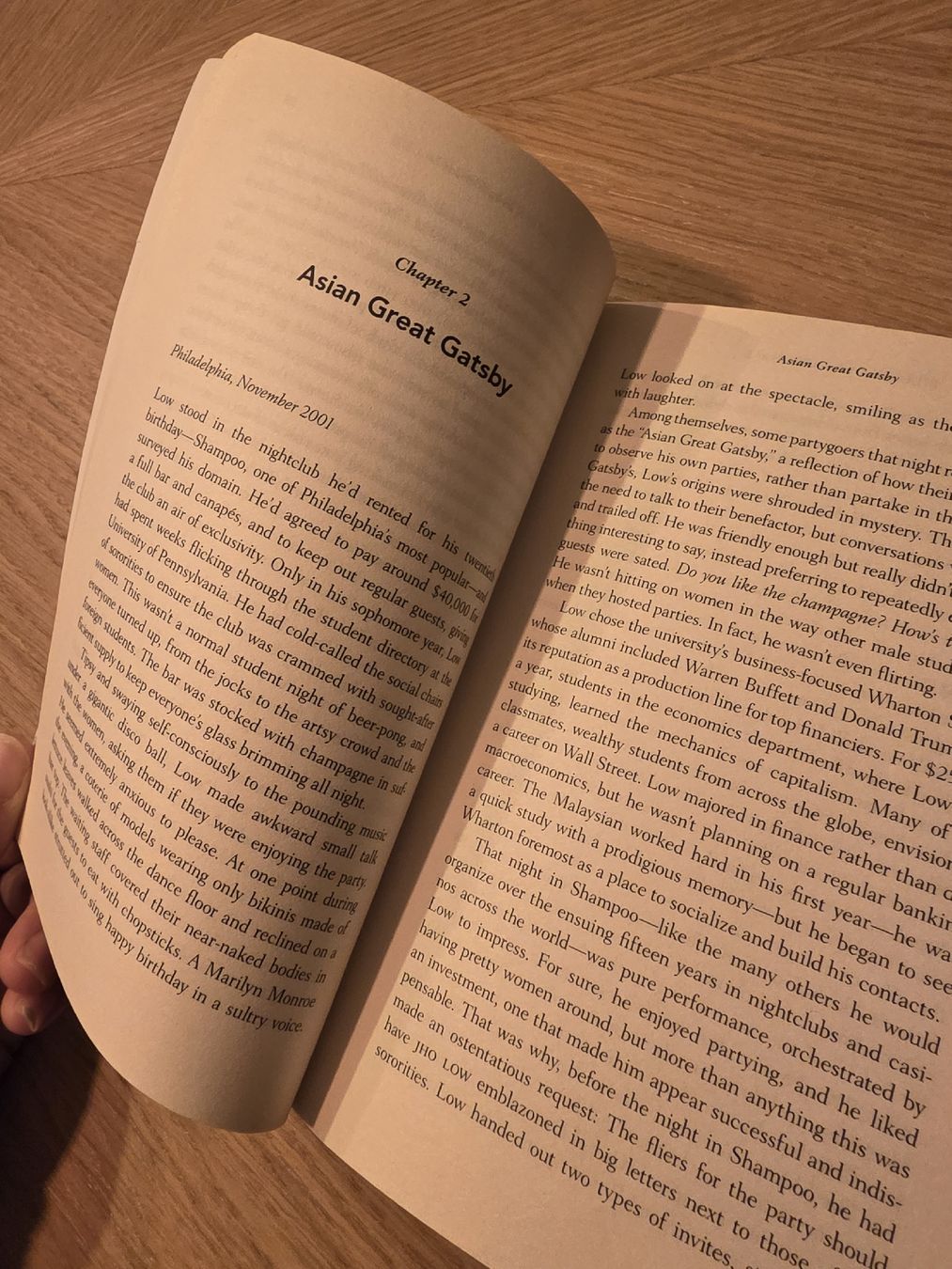 Libri: Billion Dollar Whale by Tom Wright & Bradley Hope -Book – Usato da Zürich venduto da Dani.M6 3