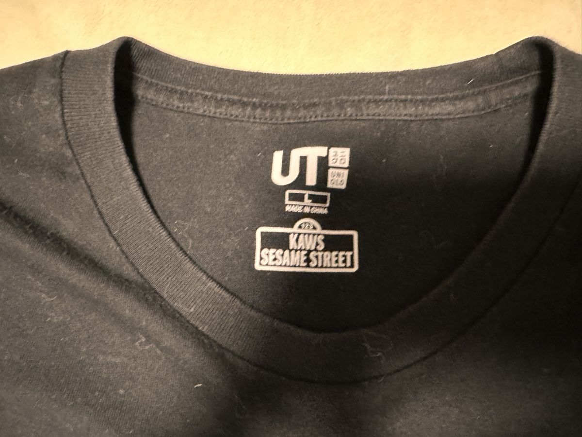 Uniqlo T-shirt: Kaws Sesame Street M – Usato da Gattikon venduto da 386ComicEmpire 1