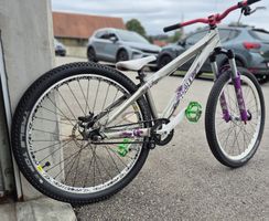 Scott Yz 