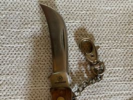 Pilzpfückmesser
