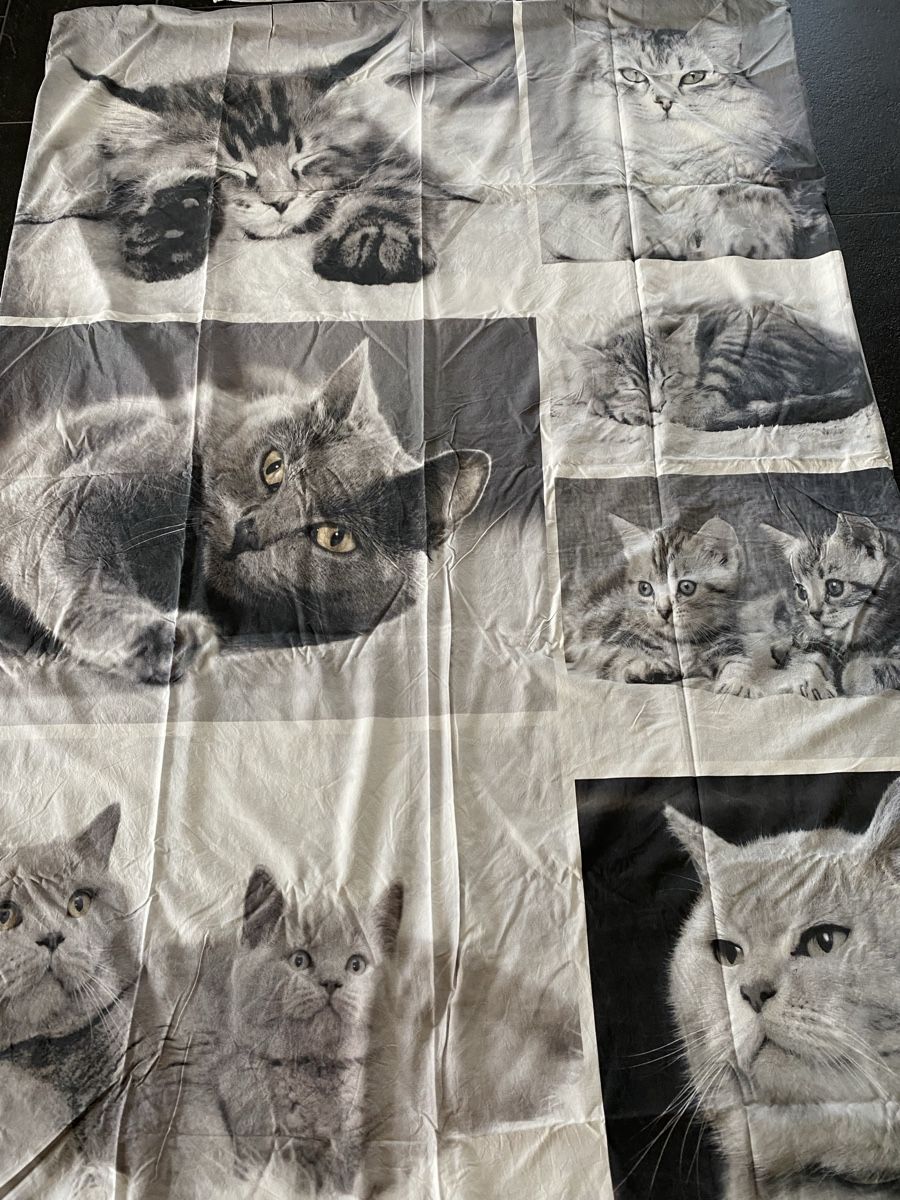Bettwäsche: Bettwäsche mit Katzen  – Gebraucht aus Lützelflüh-Goldb von flu_q9tg