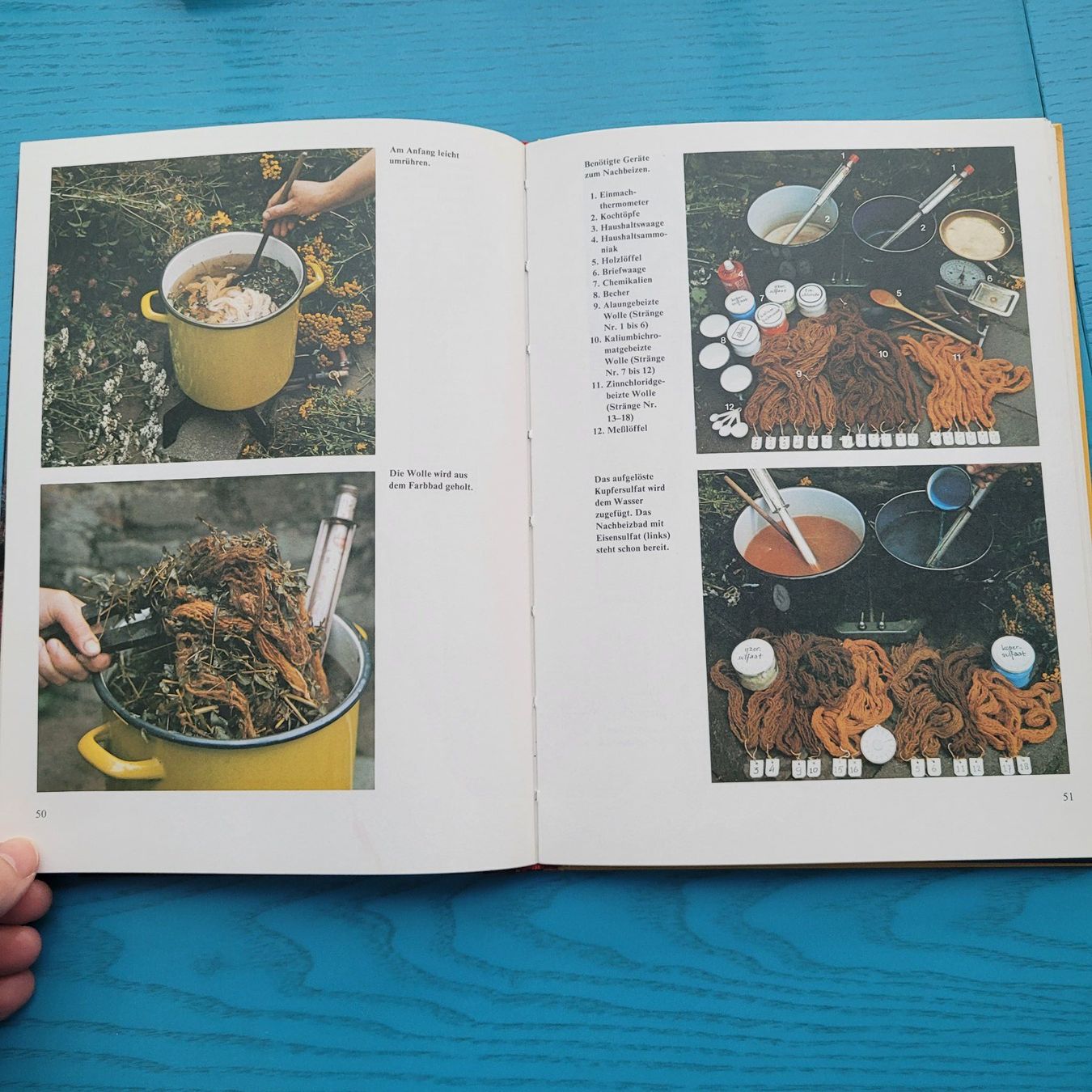 Libri: Wolle färben mit Naturfarben- Iet van de Vrande – Usato da SCHÜBELBACH venduto da CoKaHa 4