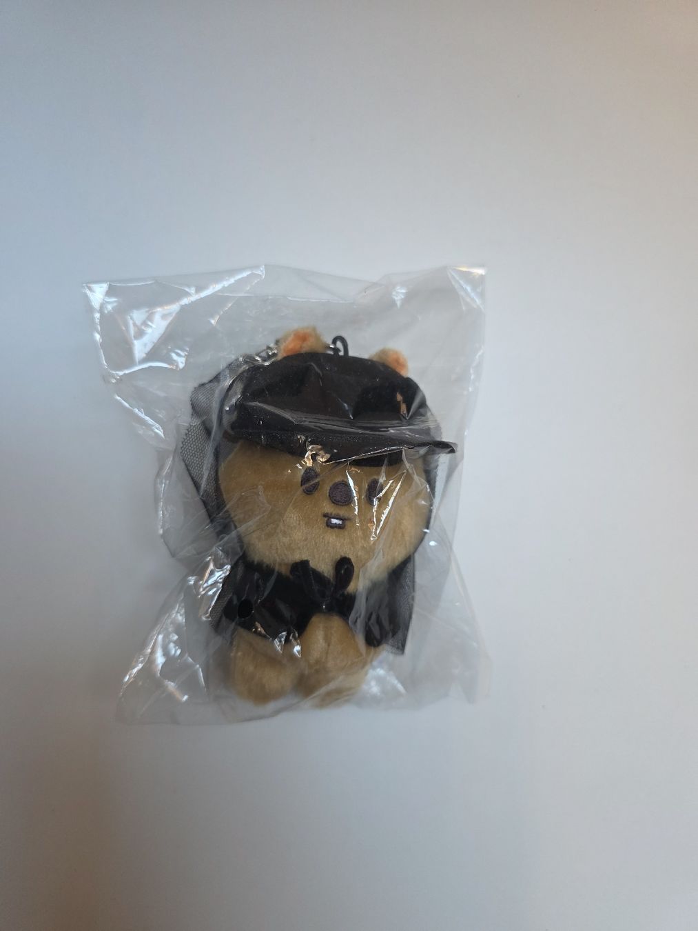 Schlüsselanhänger & - bänder: Stray Kids Skzoo Keyring – Neu und originalverpackt aus Schlatt TG von severine99
