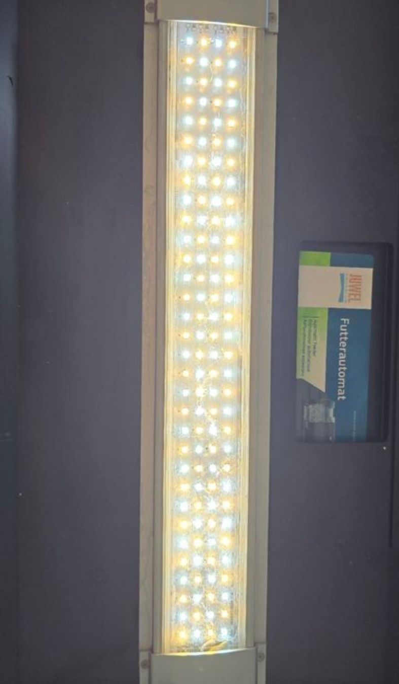 Aquarium: Aquarium 54L mit Zubehör – D'occasion à Maur par Oechslma 3