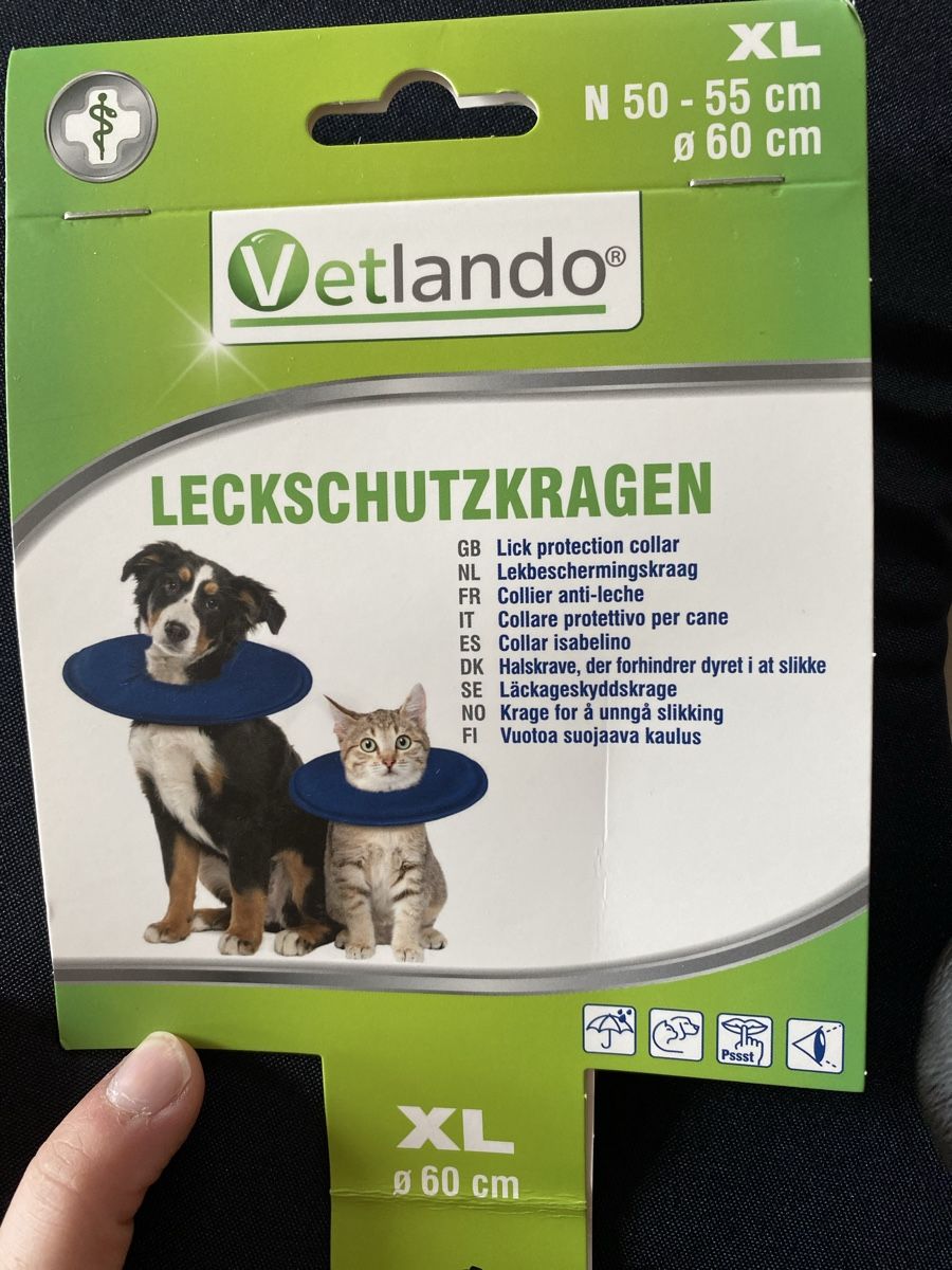 Vêtements: Schutzkragen XL – D'occasion à Sarmenstorf par Luethycel
