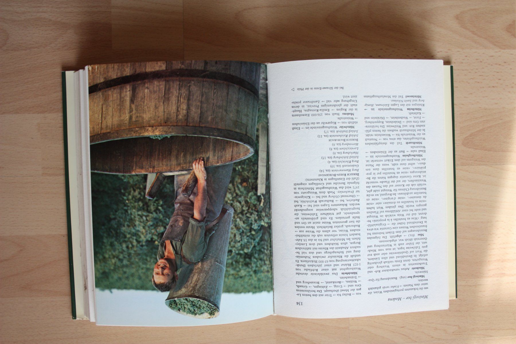 Bücher: Buch Das grosse Lexikon vom Wein – Gebraucht aus Oberwil BL von Hesa41 1