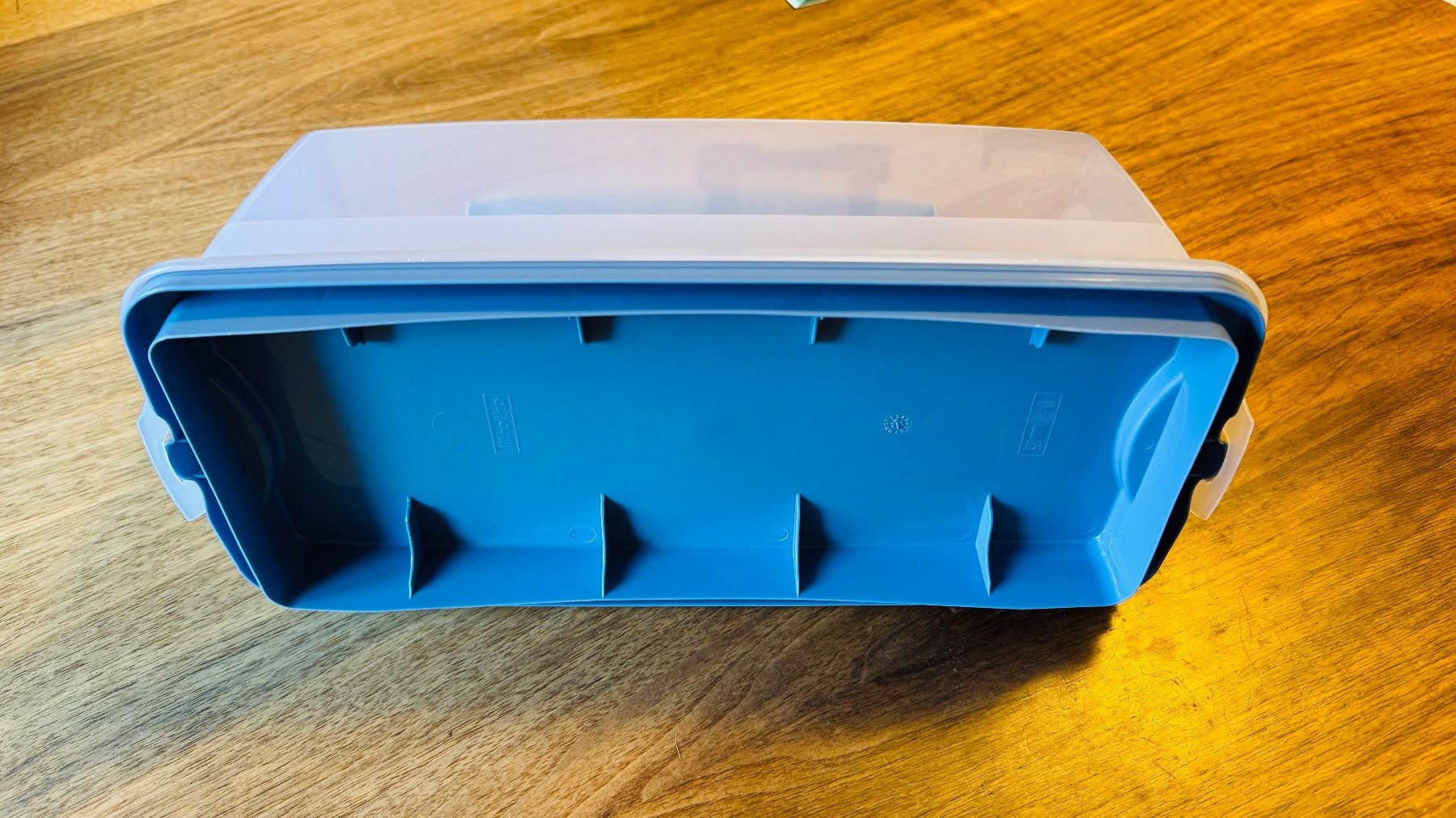 Rotho Contenitori & Simili: Cake Transport-Box (neu) – Nuovo (secondo la descrizione) da Goldingen venduto da andrefatto 2
