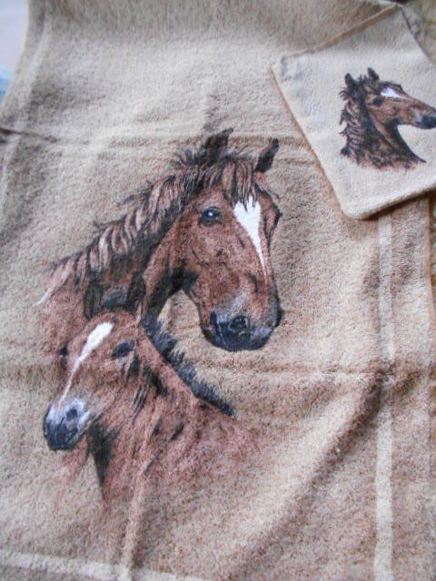 Teli da bagno: Frotee Waschhandschuh und Handtuch Pferd – Nuovo e nell'imballaggio originale da Schwarzenburg venduto da Flamingo07