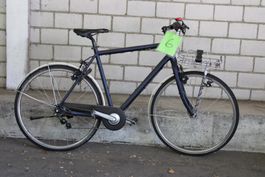 Velo 6