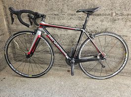 Rennvelo Bergamont Prime LTD Grösse 50 cm