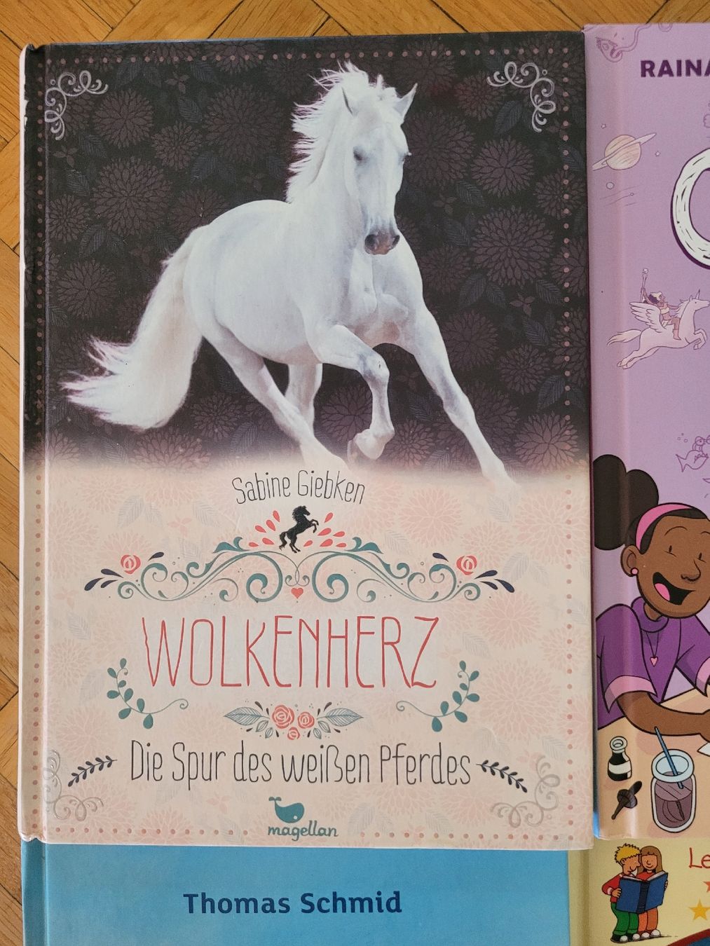Libri: Buchpaket Jugendlicher Kinderbücher Buch Kinderbuch – Usato da Genève venduto da inu_ln6m 1