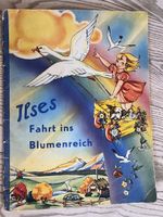 Eine Reise auf dem Regenbogen (Kinderbuch 1950er)