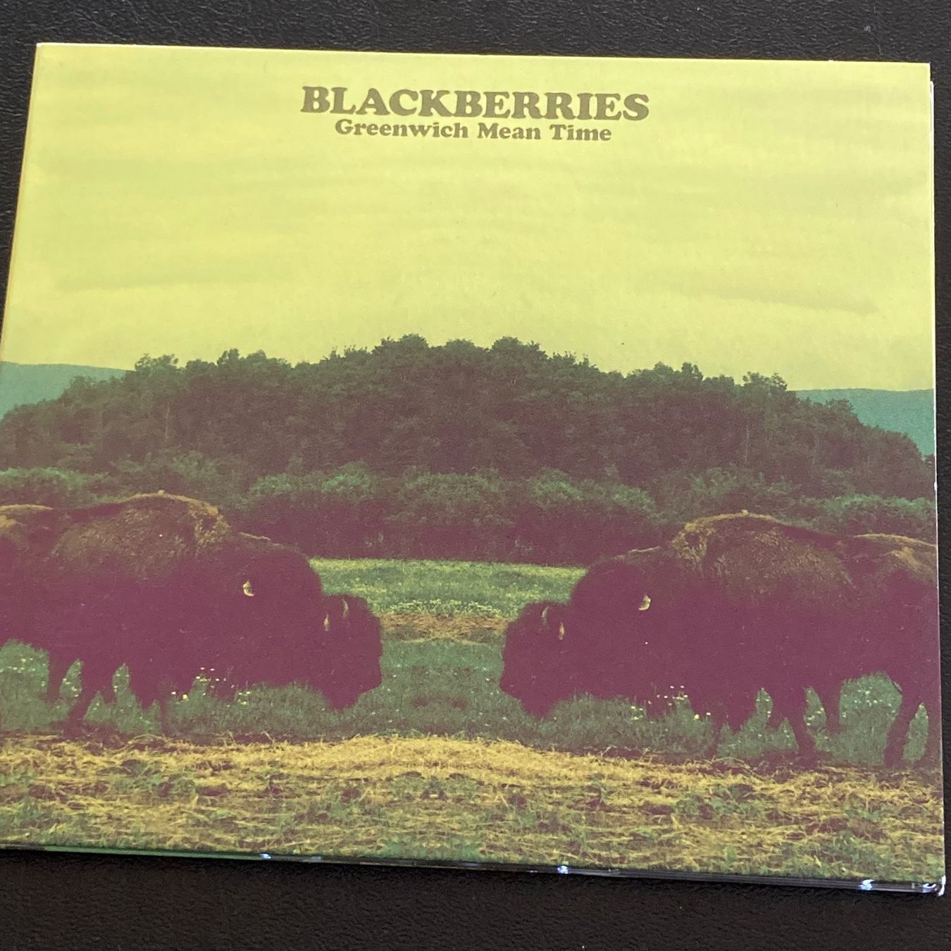 CD: The Blackberries - Greenwich Mean Time – Usato da Bern venduto da Ntsamina