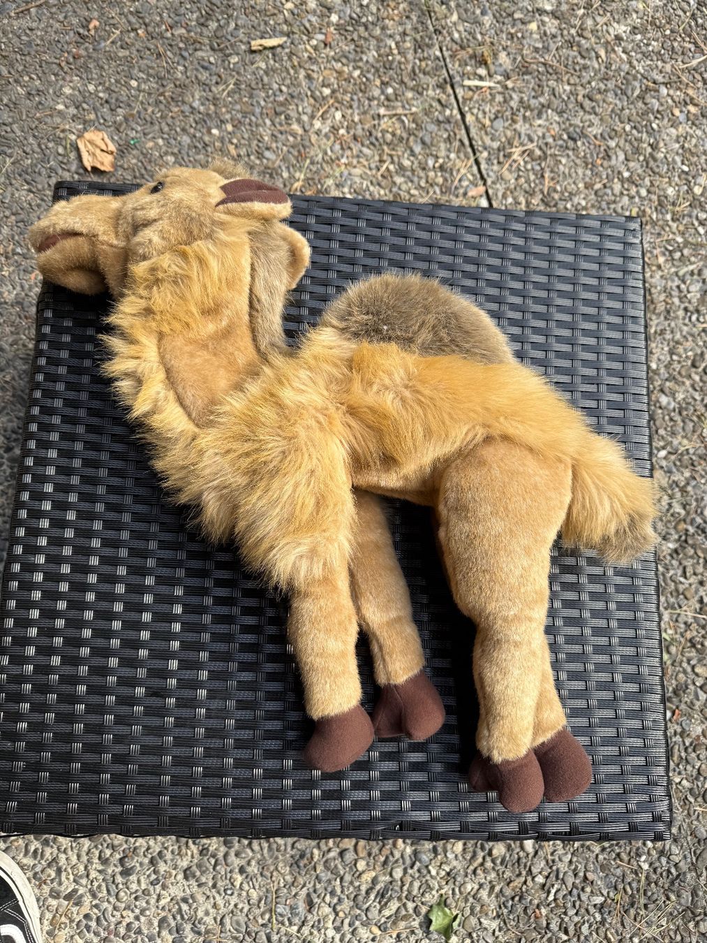 Bambole: Folkmanis Handpuppe Kamel – Usato da Unterseen venduto da delago54