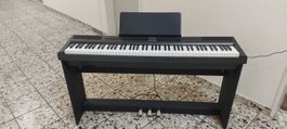 Digitalpiano Donner DEP-20 88 Graded-Hammer-Tasten,neuwertig