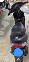 Roller 50ccm 45kmh