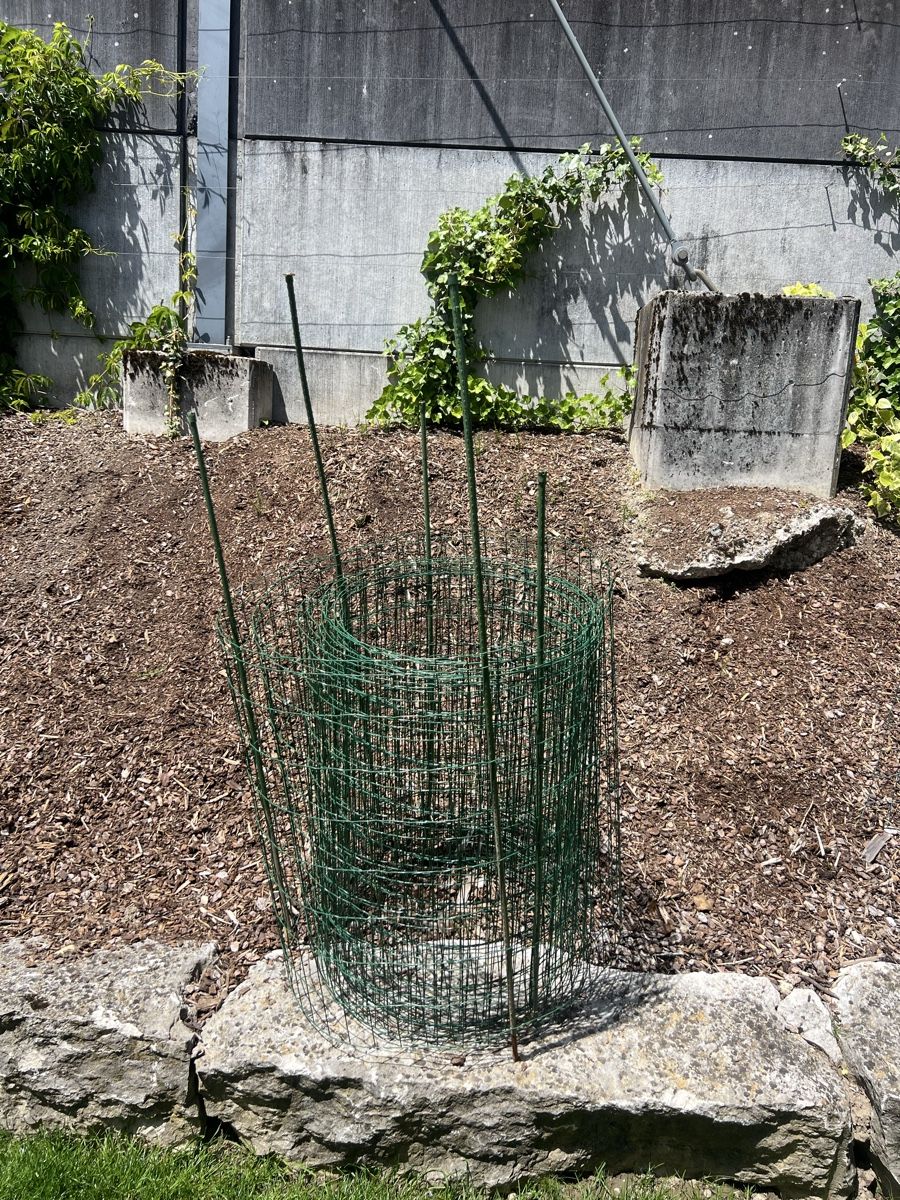 Fendivista: Gartenzaun Grün mit Pfosten – Usato da Würenlos venduto da Storzi01 2
