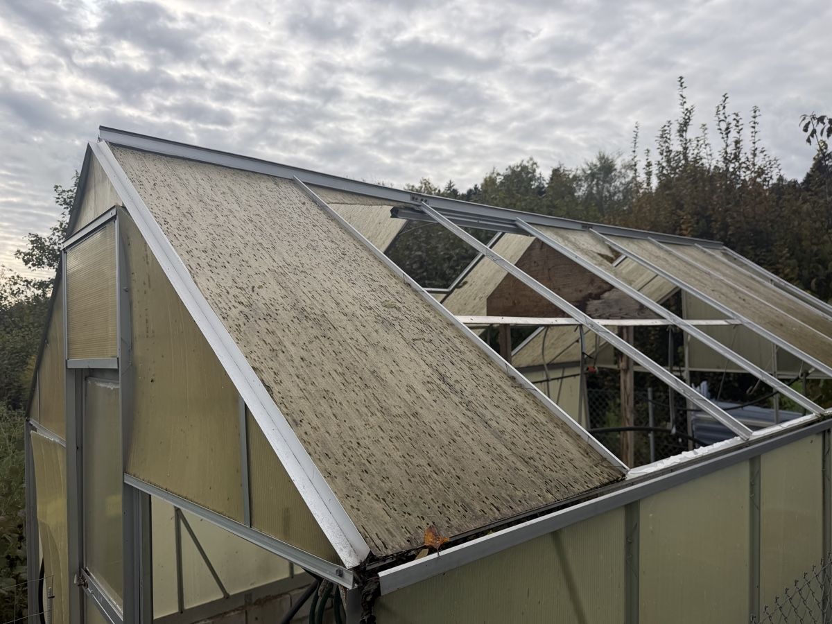 Casette da giardino & serre: Gewächshaus Rahmen Aluminium  – Difettoso da Horgen venduto da Koakelina 1