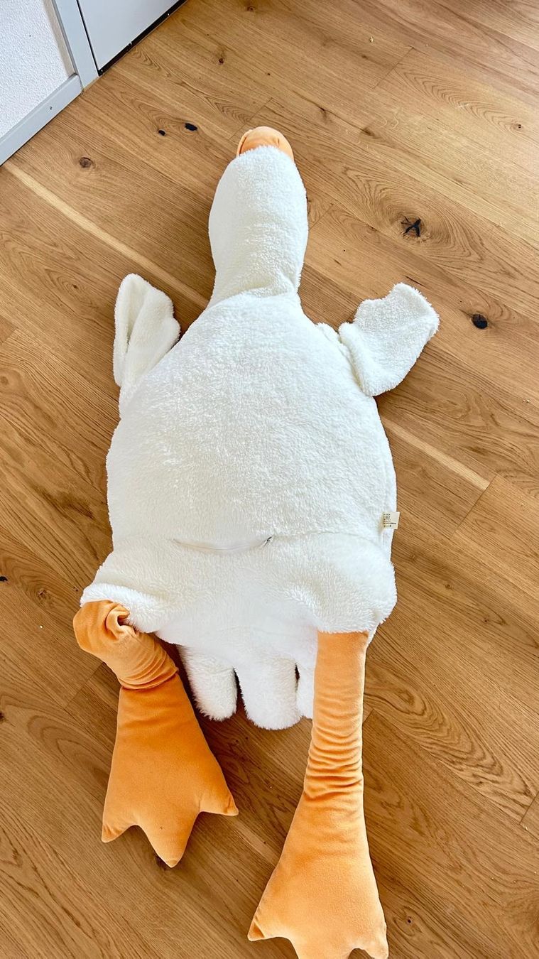 Jouets: Plüschtier Gans 160cm – D'occasion à Winterthur par fad_2rny 1