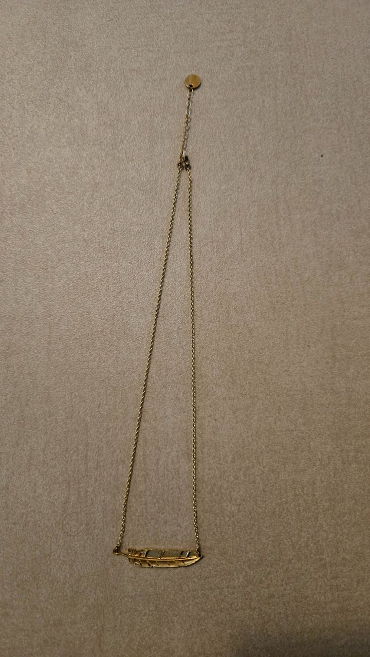 Ketten: Federkette goldig – Gebraucht aus Vevey von nus_ly82 1