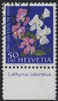 40 Rp. Gartenwicke mit TAB (Lathyrus odoratus)
