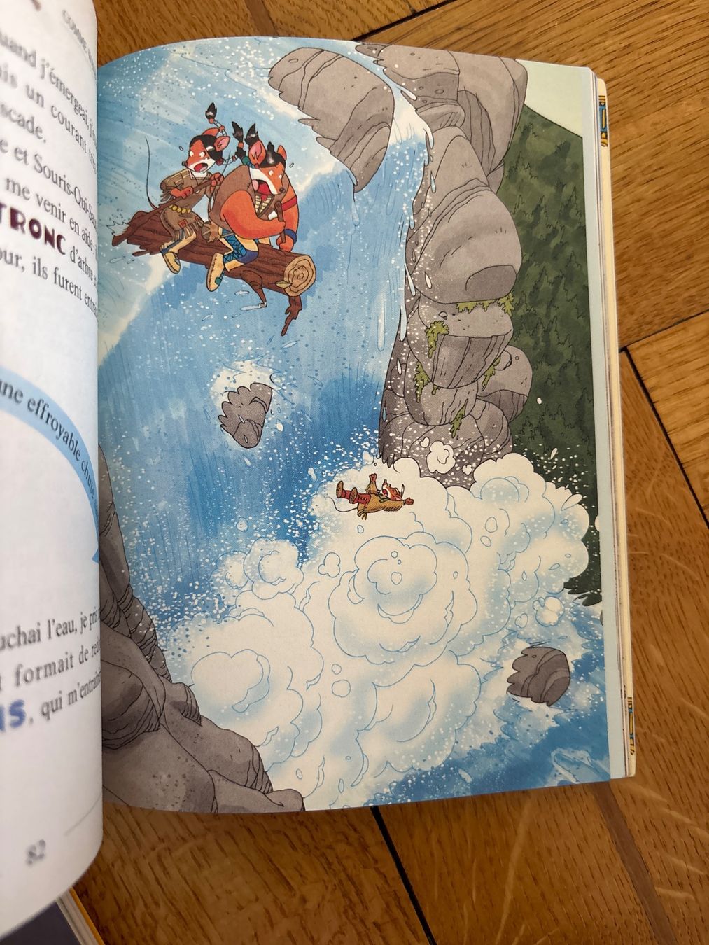 Libri: Geronimo Stilton - Le Secret du Lac Disparu – Usato da Genève venduto da Livsonman 4