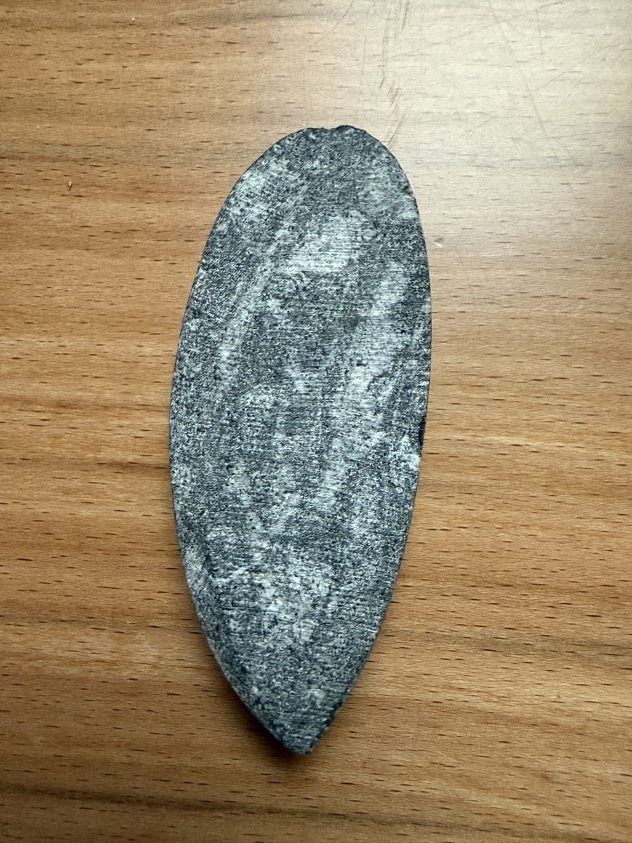 Fossiles: Orthoceras – D'occasion à Grenchen par Bastet007 6