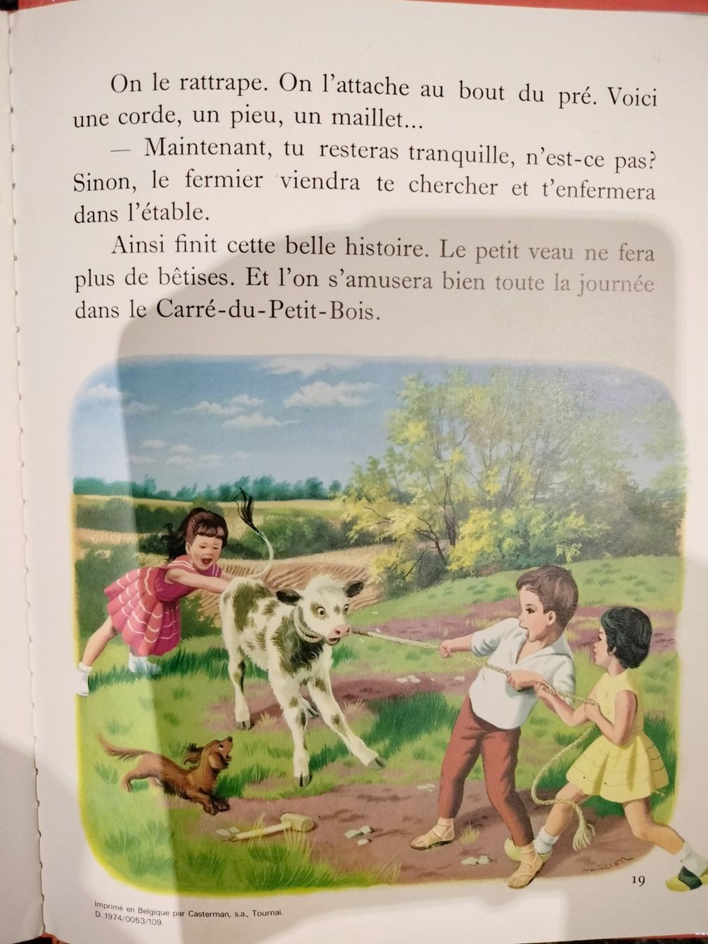 Libri: Martine fait du camping – Usato da Cortaillod venduto da rozinna 8