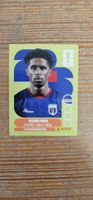 Fifa World Cup Panini CPV 10