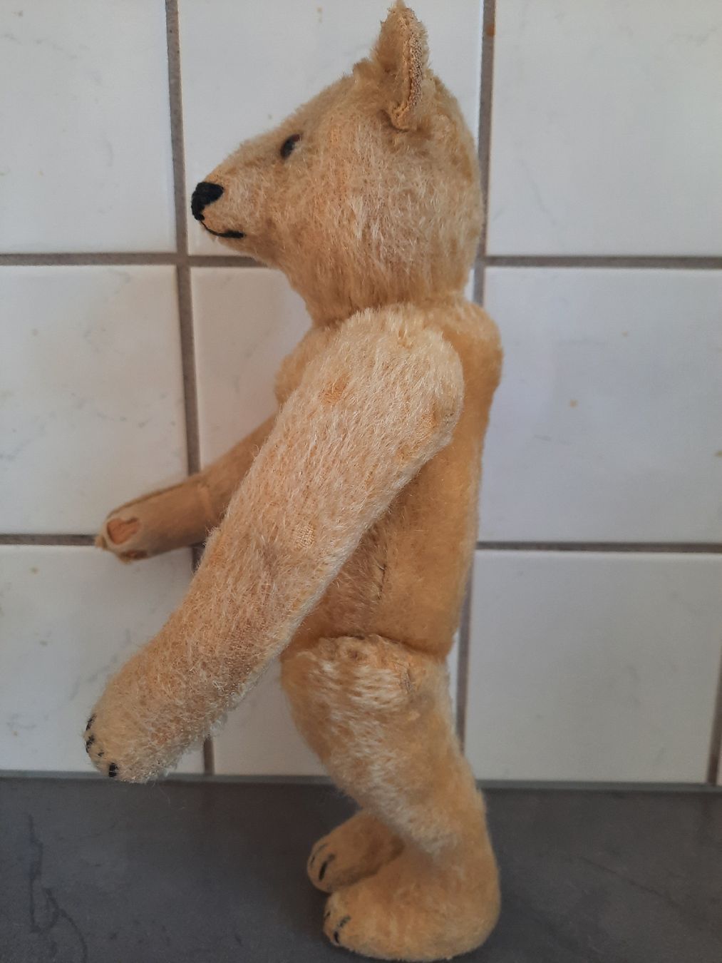 Steiff Spielzeuge: STEIFF, ancien de 1920. Avec son BOUTON – Gebraucht aus Le Locle von marylise01 3