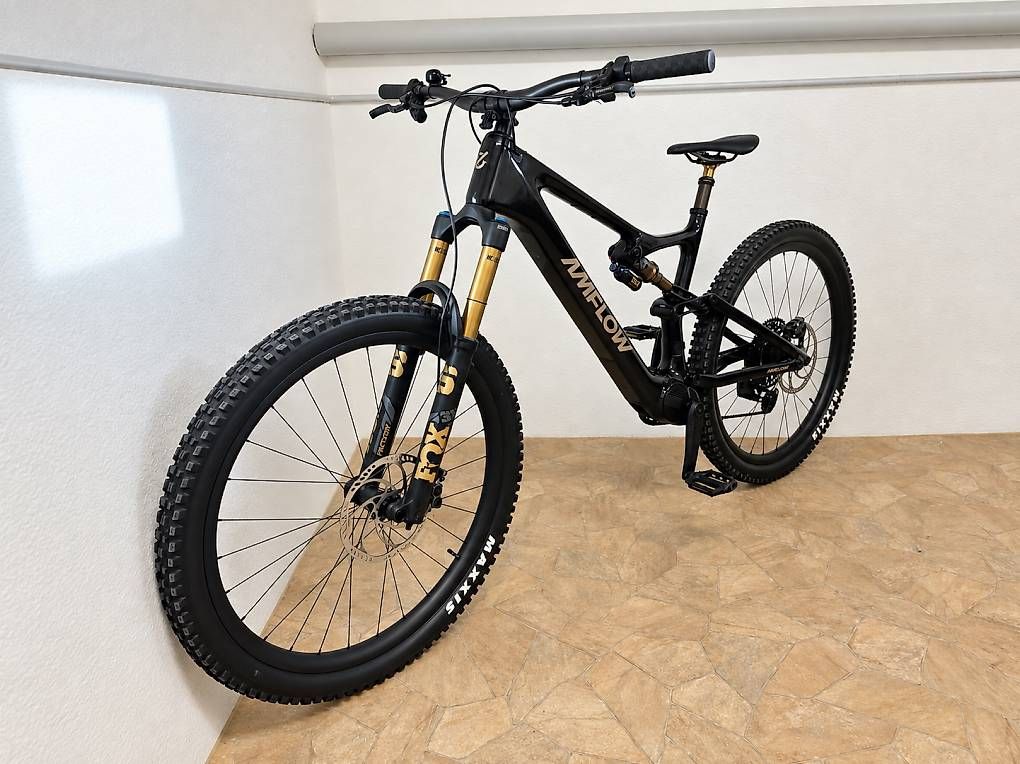 Biciclette: Amflow PL Carbon Pro Neuwertig – Usato da Wallisellen venduto da vs92 1