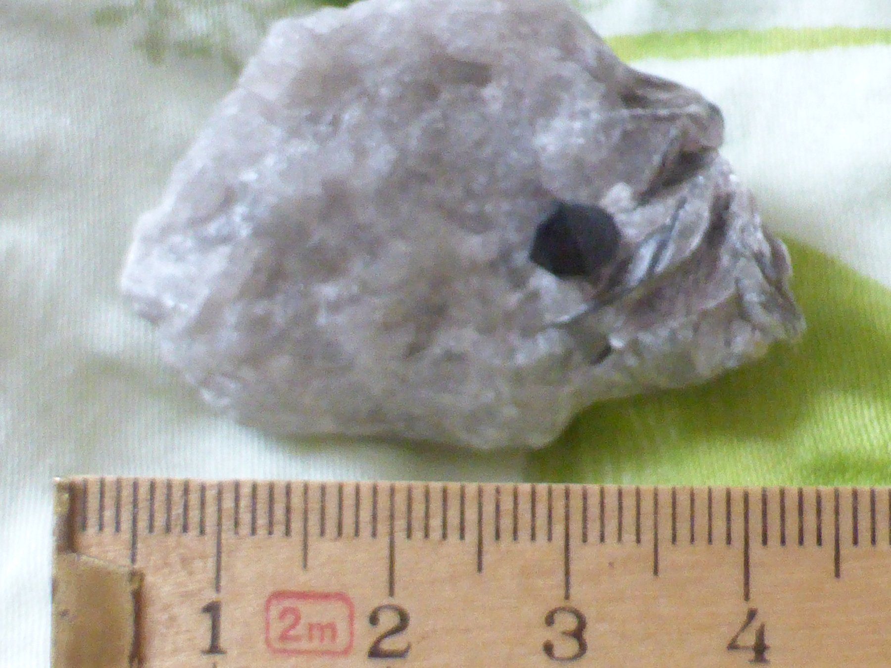 Minerali & Pietre curative: Schöner Granat mit Muskovit, Binntal – Usato da Triengen venduto da Nussbaum14 4