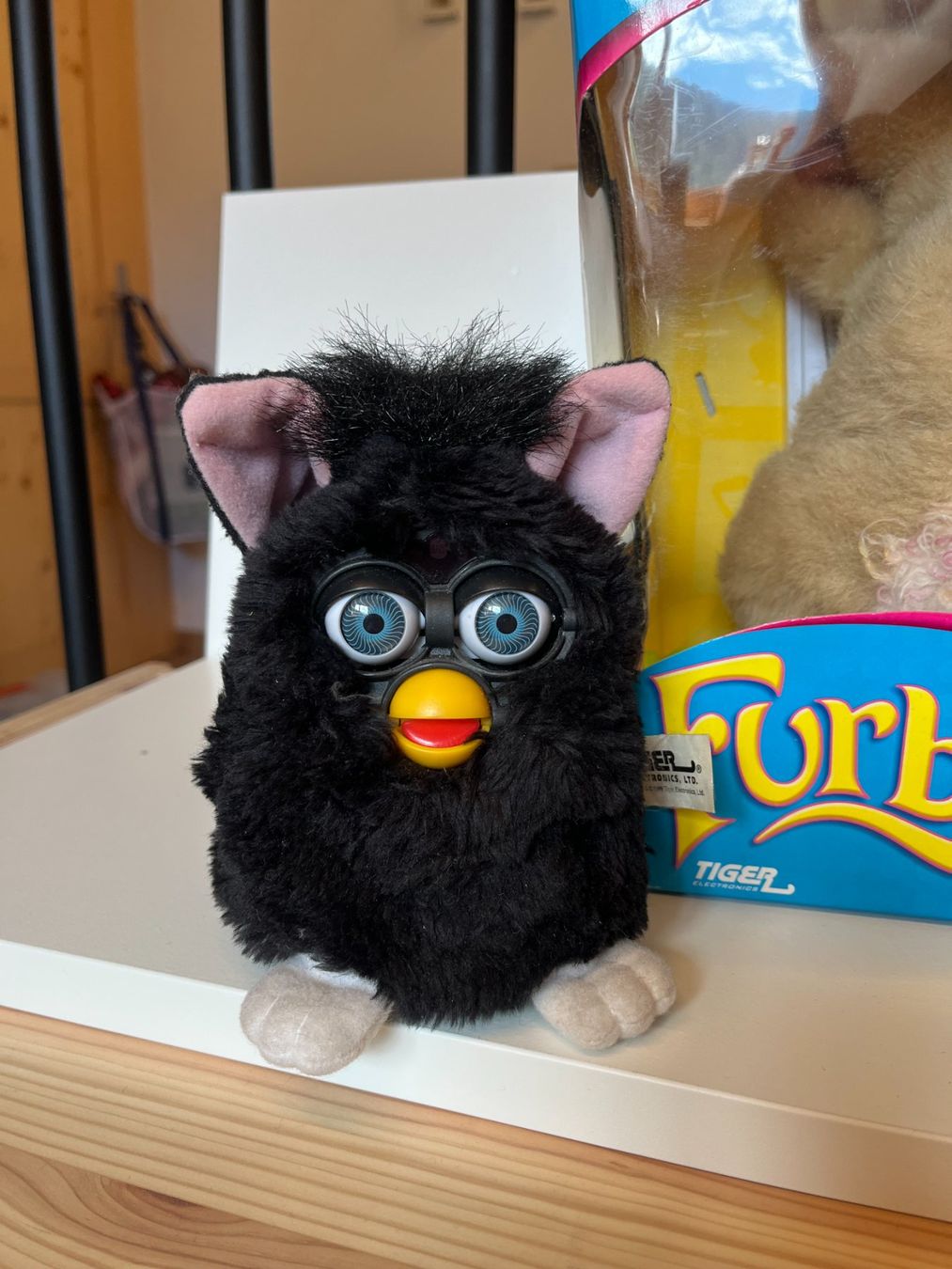 Spielzeuge: Furby – Gebraucht aus Le Trétien von staruttle 1