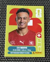 SUI 19 Panini Dan Ndoye