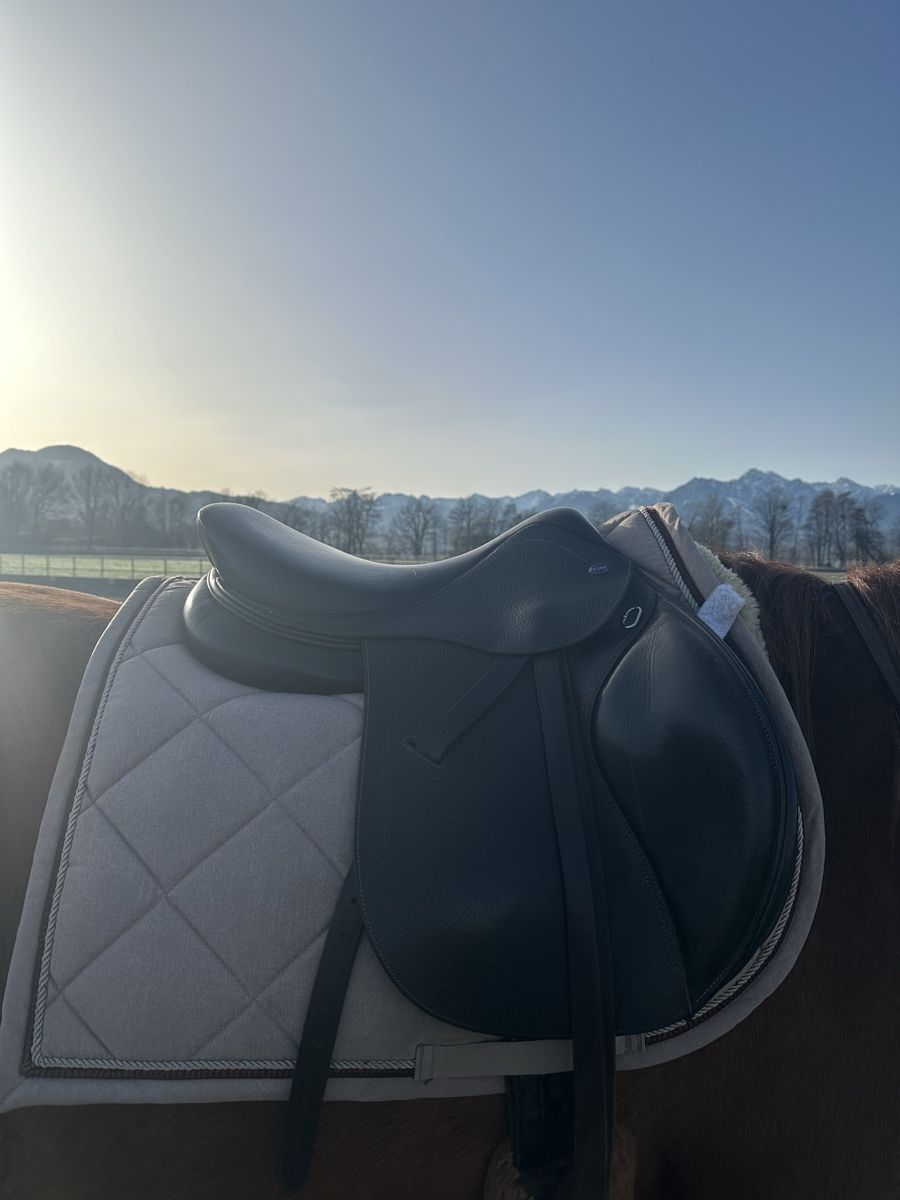 Selle & Accessori: Ikonic VSS Sattel – Usato da Marbach SG venduto da dstar000 1